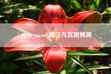 三明排三九宫图预测