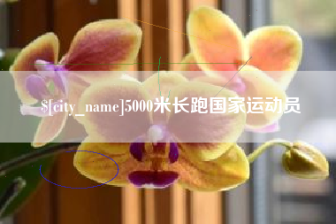 三明5000米长跑国家运动员