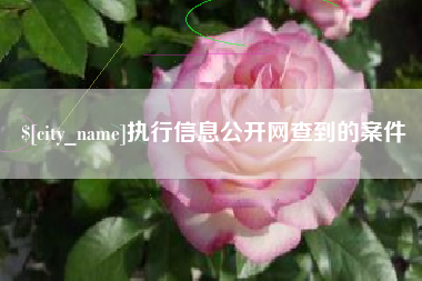 三明执行信息公开网查到的案件