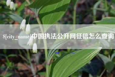 三明中国执法公开网征信怎么查询