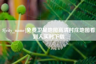 三明免费卫星地图高清村庄地图看到人实时下载