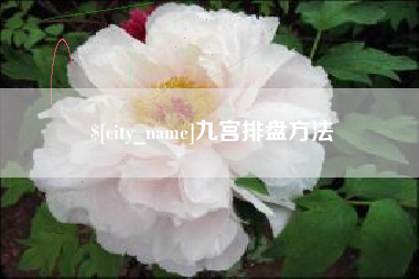 三明九宫排盘方法