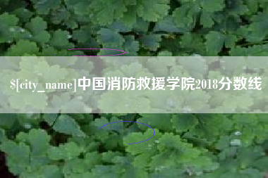 三明中国消防救援学院2018分数线