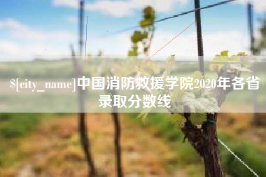 三明中国消防救援学院2020年各省录取分数线