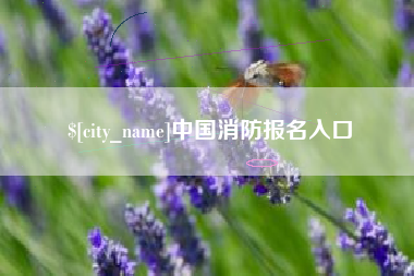 三明中国消防报名入口