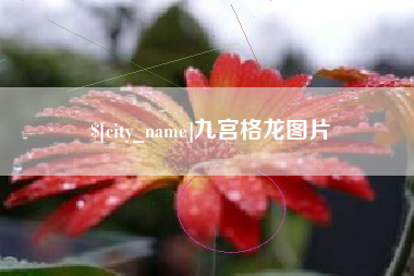 三明九宫格龙图片