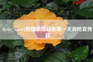 三明我国消防日是哪一天消防宣传日