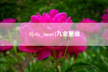 三明九金是谁