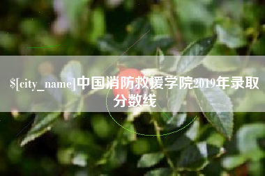 三明中国消防救援学院2019年录取分数线