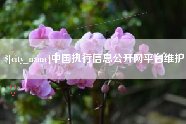 三明中国执行信息公开网平台维护