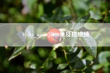 三明5000米及格成绩