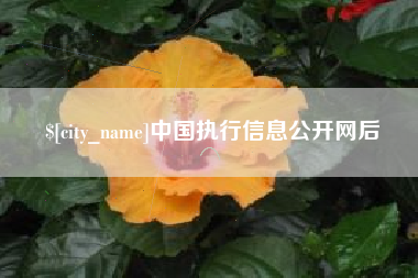 三明中国执行信息公开网后