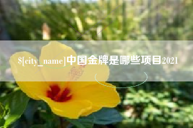 三明中国金牌是哪些项目2021
