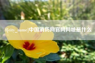 三明中国消防网官网网址是什么