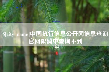 三明中国执行信息公开网信息查询官网限消中查询不到