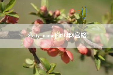 三明2021年9宫格
