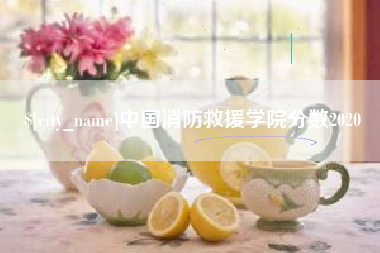 三明中国消防救援学院分数2020