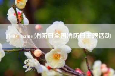 三明消防日全国消防日主题活动