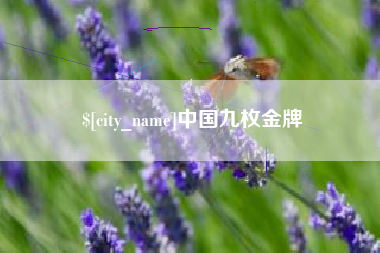 三明中国九枚金牌