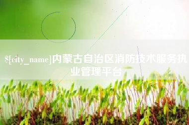 三明内蒙古自治区消防技术服务执业管理平台