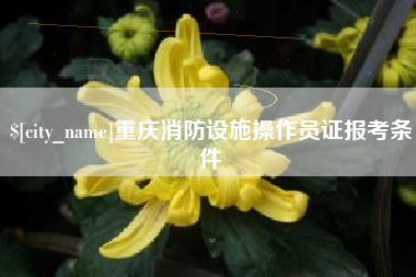 三明重庆消防设施操作员证报考条件