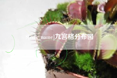三明九宫格分布图