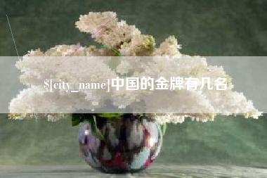 三明中国的金牌有几名