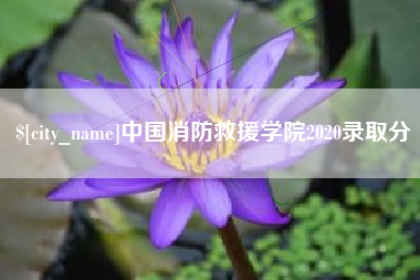 三明中国消防救援学院2020录取分