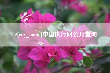 三明中国执行网公开查询