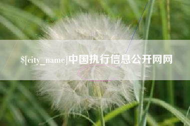 三明中国执行信息公开网网