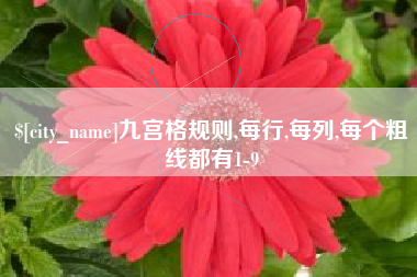 三明九宫格规则,每行,每列,每个粗线都有1-9