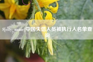 三明中国失信人员被执行人名单查询