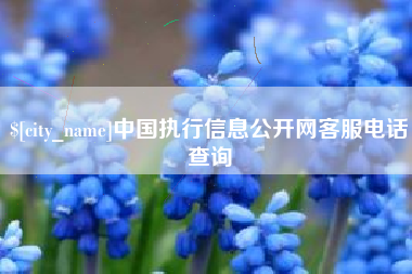三明中国执行信息公开网客服电话查询
