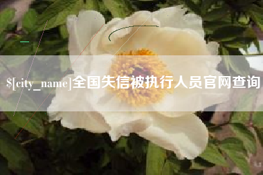 三明全国失信被执行人员官网查询