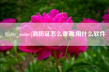 三明消防证怎么查询,用什么软件