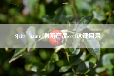 三明消防产品cccf认证目录