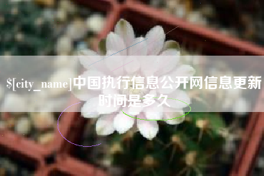 三明中国执行信息公开网信息更新时间是多久