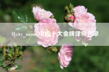 三明中国十大金牌律师名单