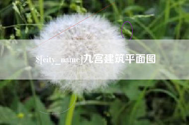 三明九宫建筑平面图