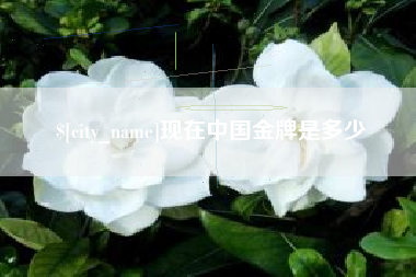 三明现在中国金牌是多少