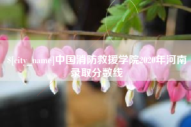 三明中国消防救援学院2020年河南录取分数线