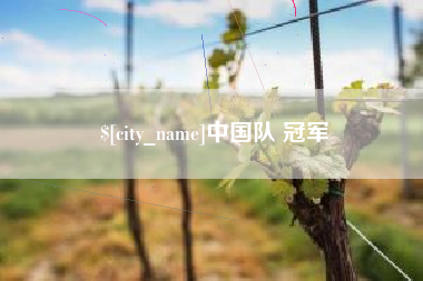 三明中国队 冠军