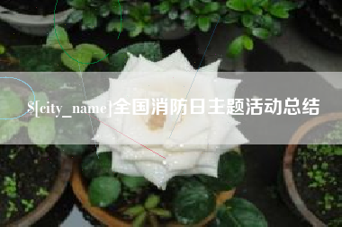 三明全国消防日主题活动总结