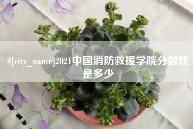 三明2021中国消防救援学院分数线是多少