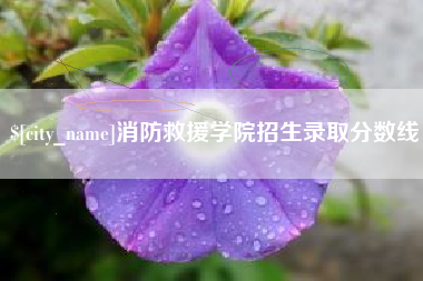 三明消防救援学院招生录取分数线