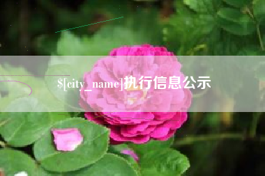三明执行信息公示