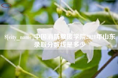 三明中国消防救援学院2021年山东录取分数线是多少