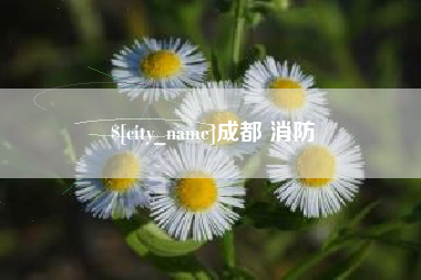 三明成都 消防