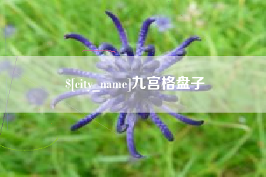 三明九宫格盘子