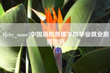 三明中国消防救援学院毕业就业前景如何